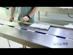 Automatischer horizontaler Reinigungs-Patronen-Fluss-Verpackmaschine 220v