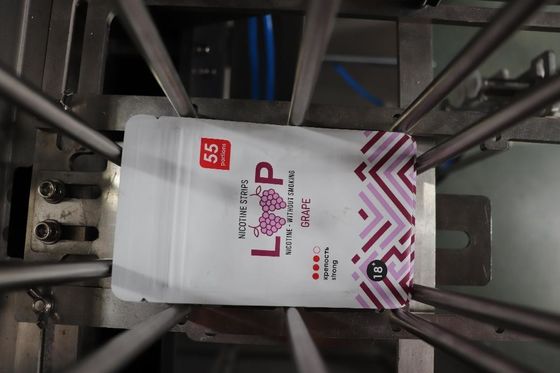 Automatische vorgefertigte Taschenverpackungsmaschine Teesäcke Eimerkette
