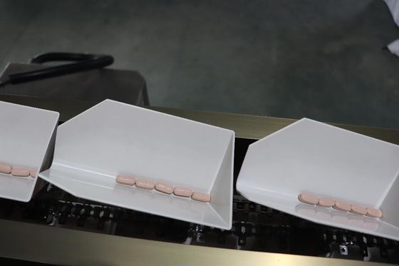 Automatische vorgefertigte Taschenverpackungsmaschine Teesäcke Eimerkette